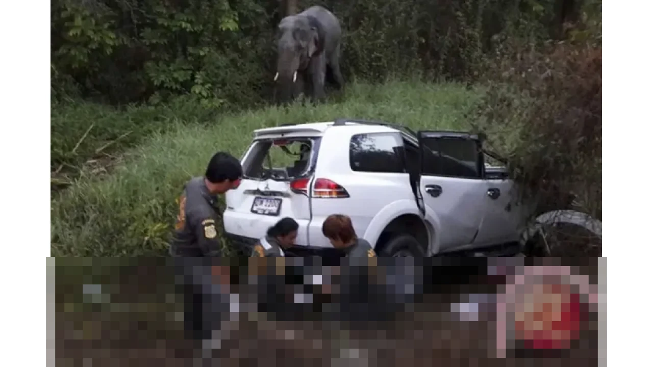 Thailand Dilanda Gelombang Kecelakaan Maut, Lebih dari 100 Orang Tewas di Awal Tahun Baru