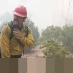 Tiga Film Thriller Baru Netflix Pekan Ini: Salah Satunya Raih Rating 91% dari Penonton!