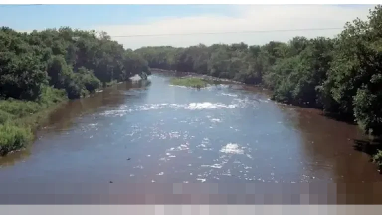 Tiga Indikator Utama Keberhasilan Mahasiswa di Semester Awal Perkuliahan Tiga Indikator Utama Keberhasilan Mahasiswa di Semester Awal Perkuliahan