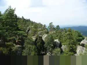 TMC Polda Metro: “Lalu Lintas Normal Kembali Usai Truk Sampah Tabrak Pembatas Busway Cawang”