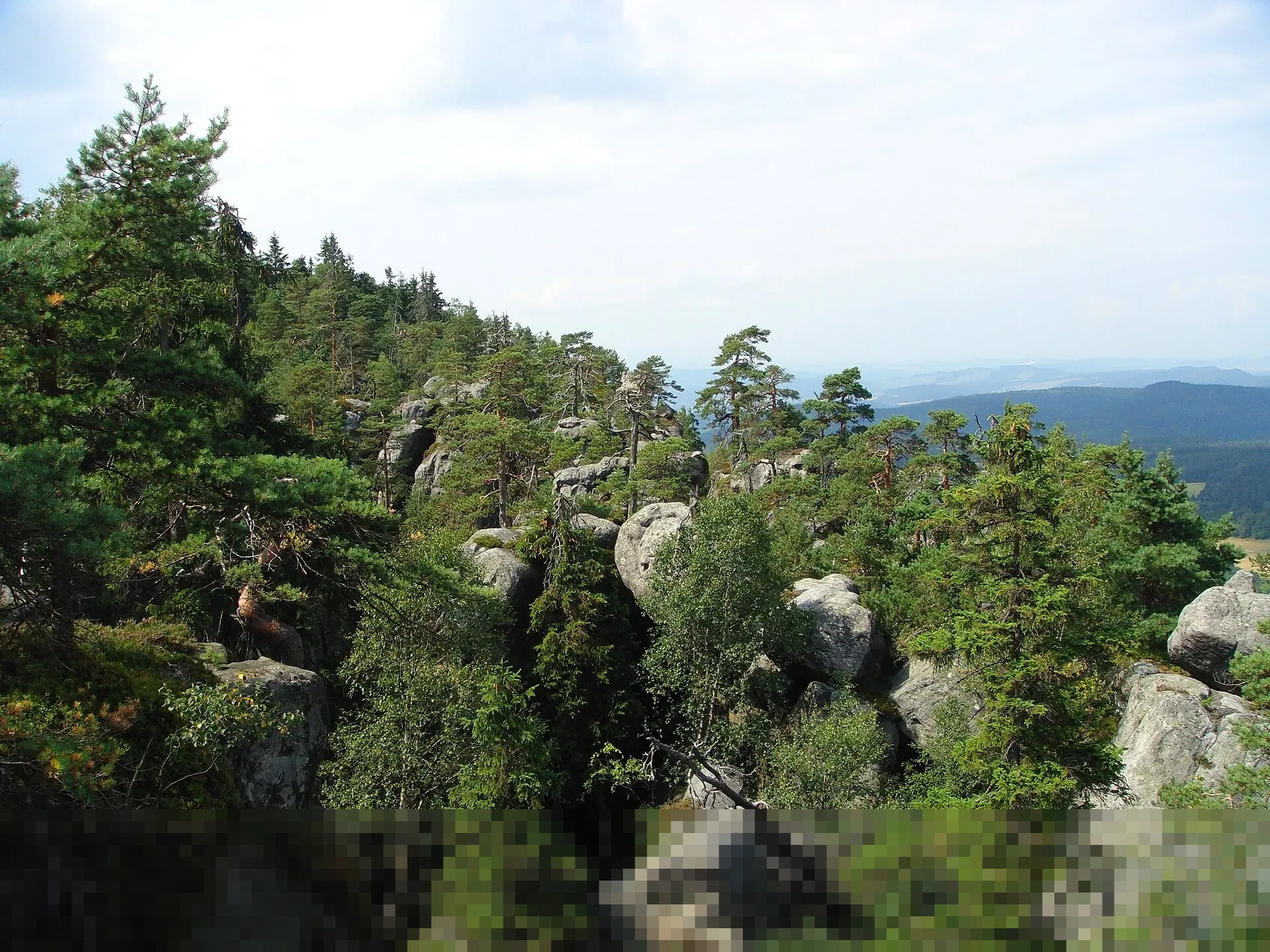 TMC Polda Metro: “Lalu Lintas Normal Kembali Usai Truk Sampah Tabrak Pembatas Busway Cawang”