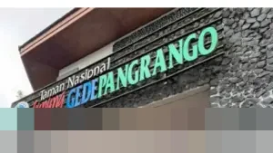 TNGGP Perketat Pengawasan: Puluhan Petugas Dikerahkan Antisipasi Pendaki Ilegal di Gunung Gede