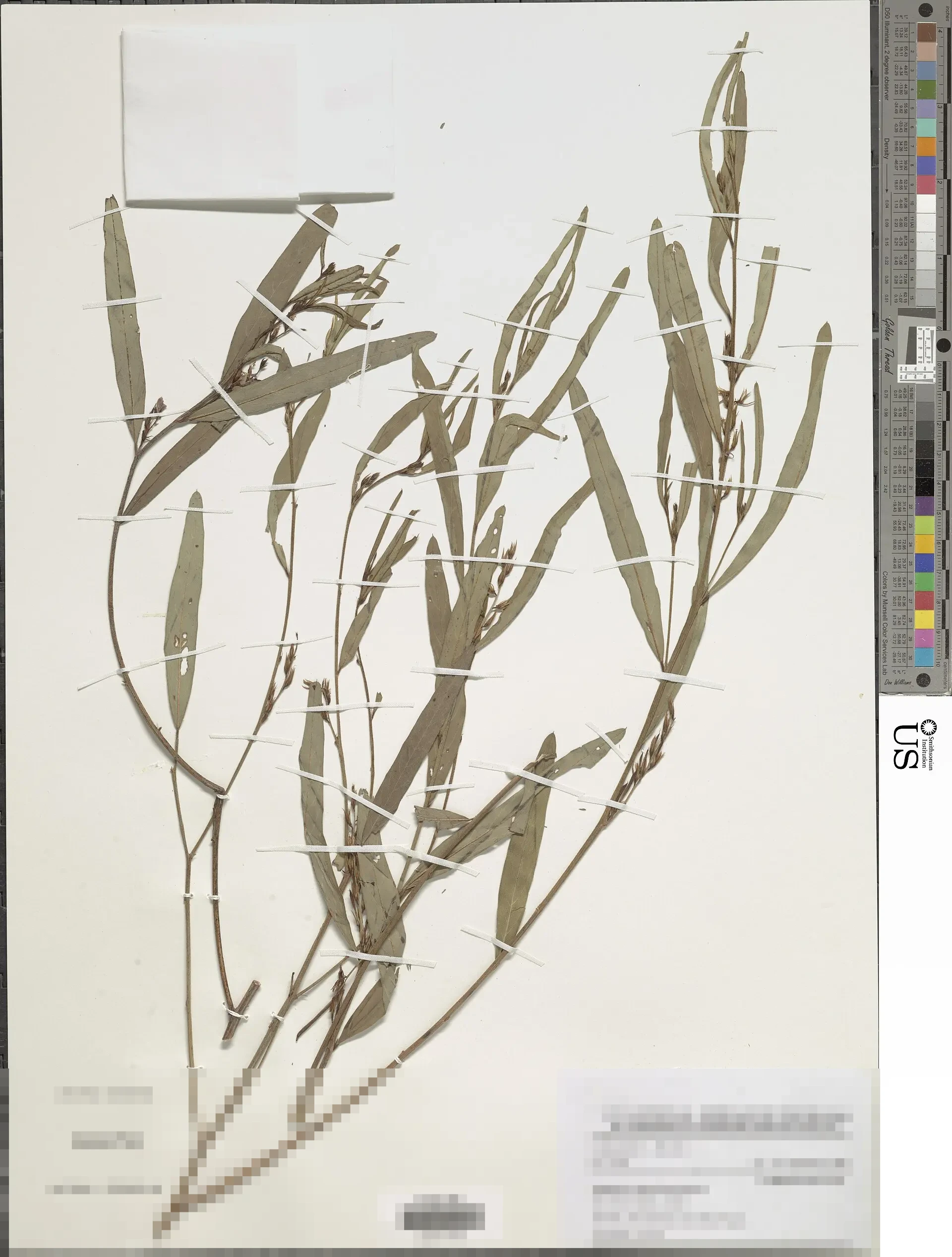 Uji Materi UU LLAJ: MK Diminta Perberat Sanksi Merokok Saat Nyetir, SIM Terancam Dicabut Uji Materi UU LLAJ: MK Diminta Perberat Sanksi Merokok Saat Nyetir, SIM Terancam Dicabut