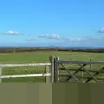 Viral Mobil Lawan Arah di Tol Dalam Kota, Polisi: Pengemudi Sudah Ditilang