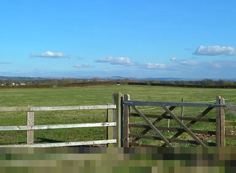 Viral Mobil Lawan Arah di Tol Dalam Kota, Polisi: Pengemudi Sudah Ditilang