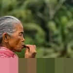 Viral: Nenek Kepergok Curi 16 Baju Pria di Tanah Abang, Pedagang: ‘Mau Lebaran di Penjara?’