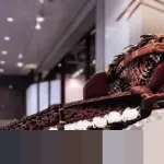 Waka MPR Eddy Soeparno: Krisis Iklim Mendesak, Pemerintah Harus Jadikan 2026 Tahun Mitigasi