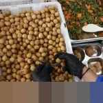 Wakil BGN: 4.535 SPPG Makan Bergizi Gratis Kini Bersertifikat Higienis