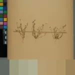 Wakil Ketua Komisi X DPR: ‘Kuliah Bukan Sekadar Informasi, Kampus Bentuk Nalar Kritis’