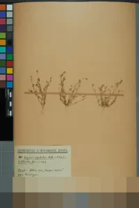 Wakil Ketua Komisi X DPR: ‘Kuliah Bukan Sekadar Informasi, Kampus Bentuk Nalar Kritis’