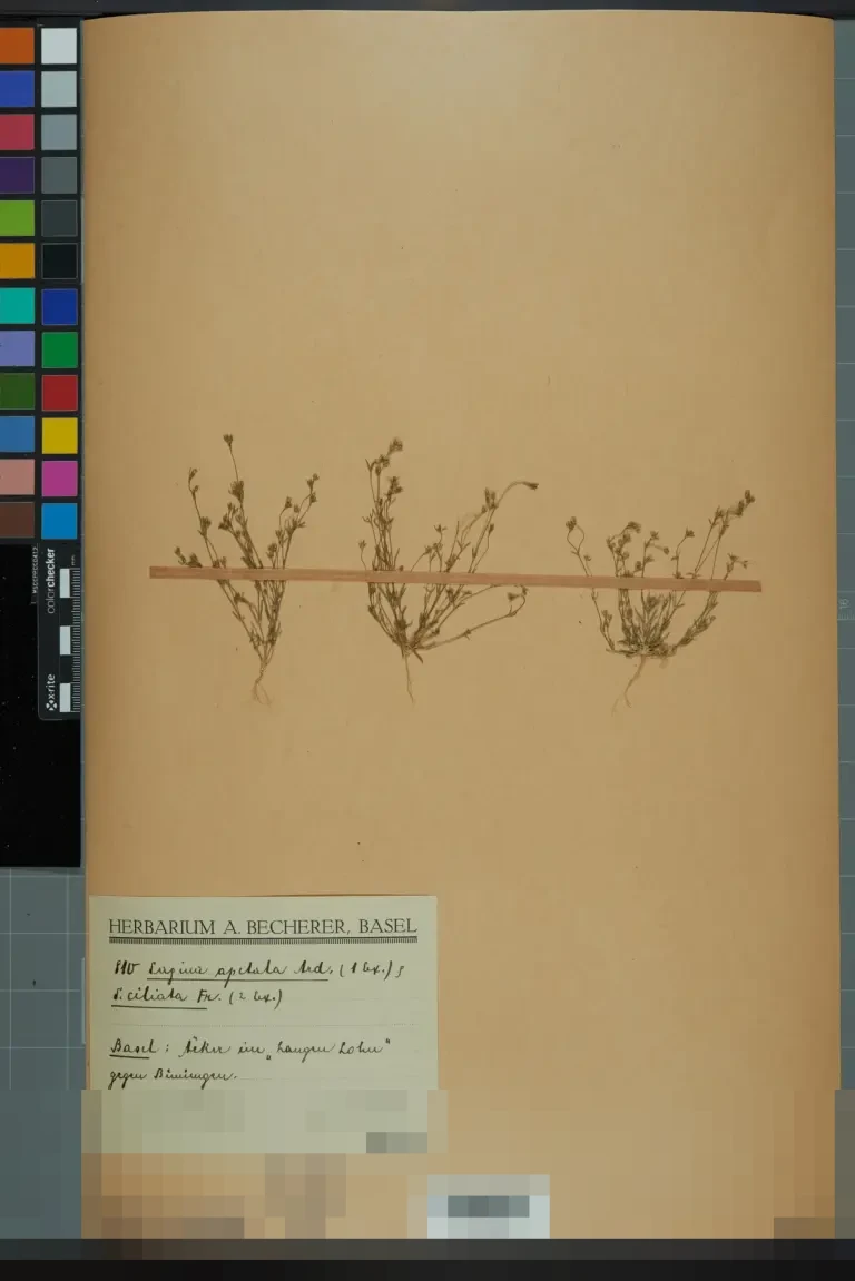 Wakil Ketua Komisi X DPR: ‘Kuliah Bukan Sekadar Informasi, Kampus Bentuk Nalar Kritis’ Wakil Ketua Komisi X DPR: ‘Kuliah Bukan Sekadar Informasi, Kampus Bentuk Nalar Kritis’