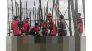 Warga Binjai Resah, Disdamkarmat Natuna Bergerak Cepat Evakuasi Buaya 1,5 Meter dari Kelong