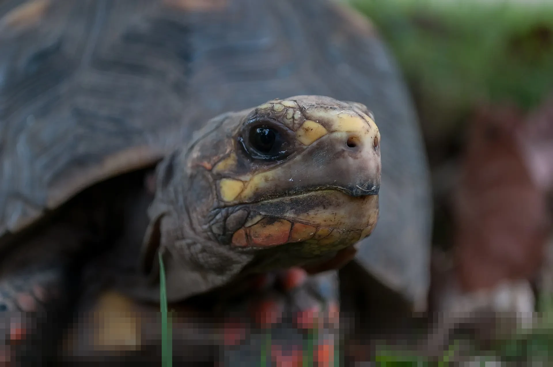 Warga Venezuela Hadapi Harga Melambung dan Antrean Panjang Usai Serangan Udara AS yang Culik Maduro Warga Venezuela Hadapi Harga Melambung dan Antrean Panjang Usai Serangan Udara AS yang Culik Maduro