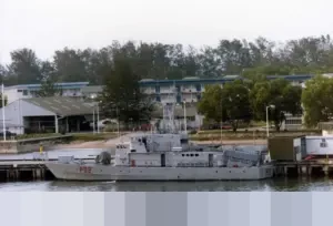 Waspada! Viral Nervous Necrosis, Penyakit Mematikan Ikan yang Sebabkan Kerugian Finansial