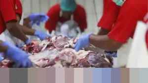 Yayan Suryana: “Tak Ada Jalan Lain”, Pedagang Desak Pemerintah Impor Daging Kerbau India