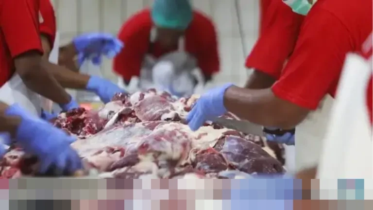 Yayan Suryana: “Tak Ada Jalan Lain”, Pedagang Desak Pemerintah Impor Daging Kerbau India