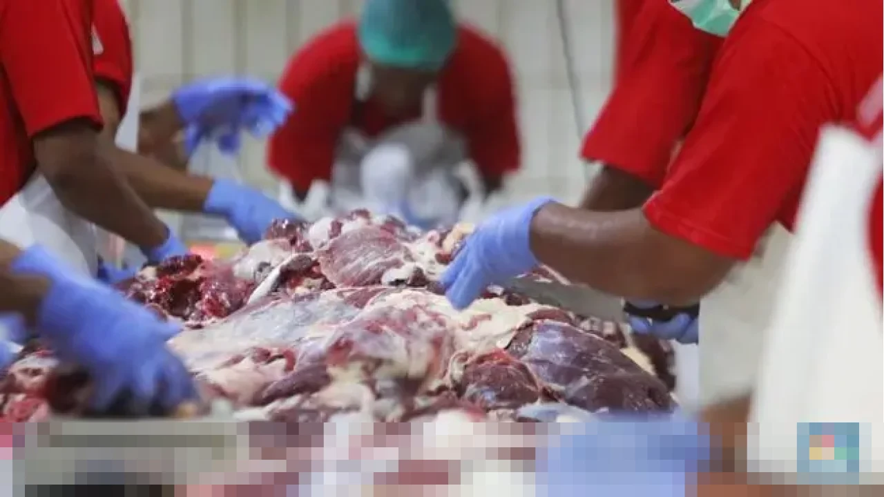 Yayan Suryana: “Tak Ada Jalan Lain”, Pedagang Desak Pemerintah Impor Daging Kerbau India